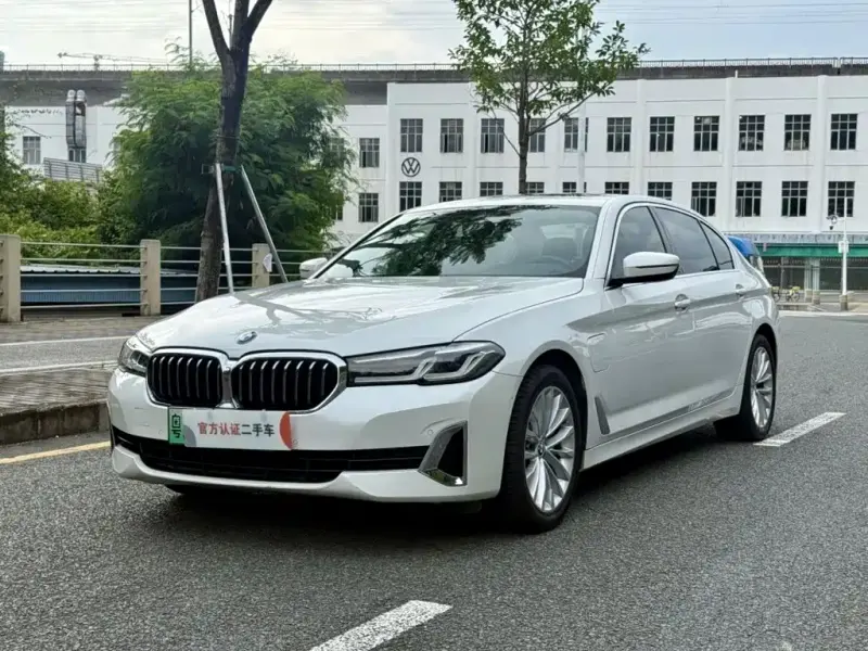 BMW 5 Series New Energy, 2020