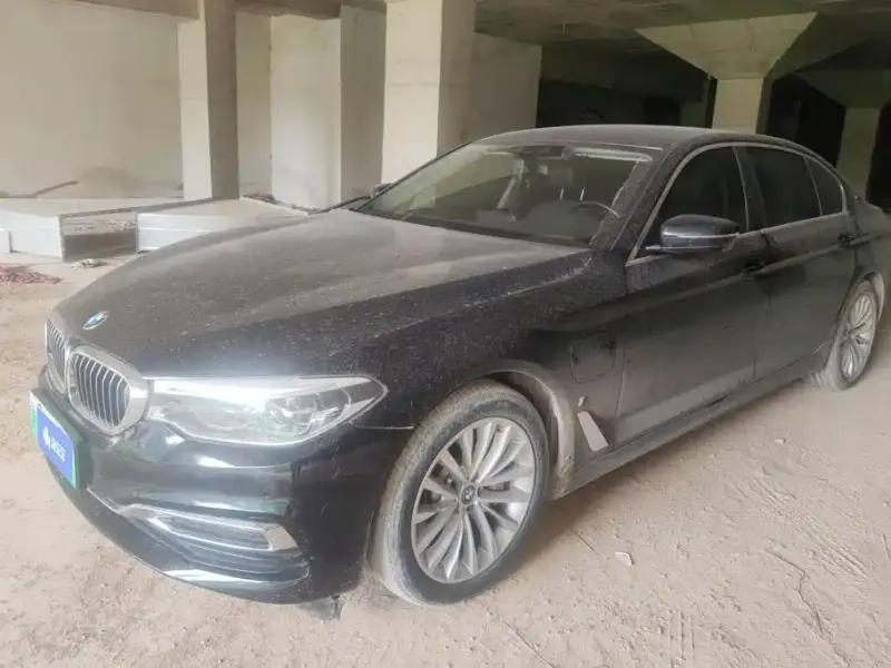 BMW 5 Series New Energy, 2019
