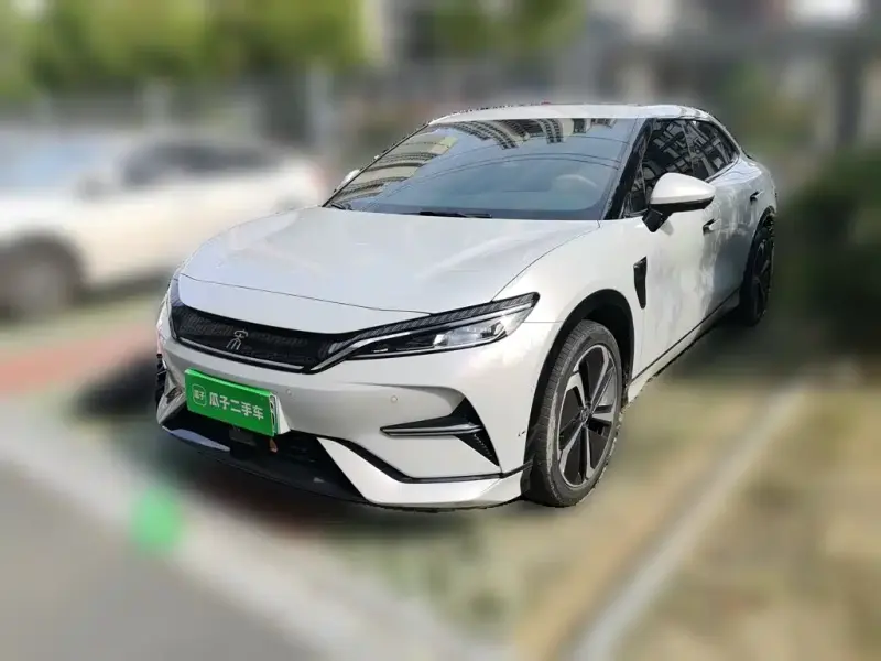 BYD L EV, 2024