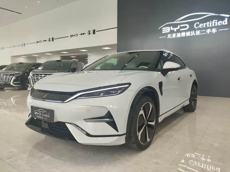 BYD L EV, 2024