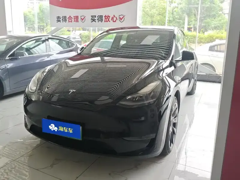 Tesla Model Y, 2021
