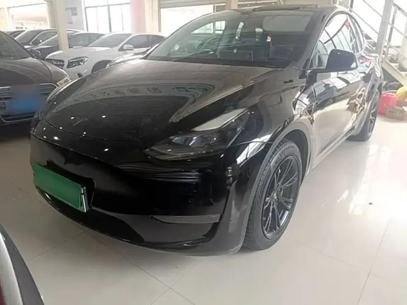 Tesla Model Y, 2021