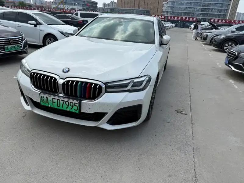 BMW 5 Series New Energy, 2021