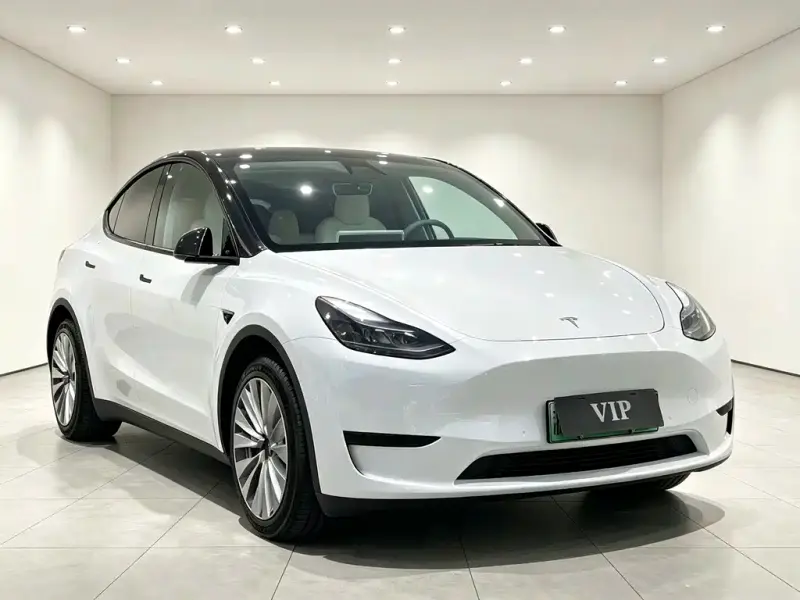 Tesla Model Y, 2023