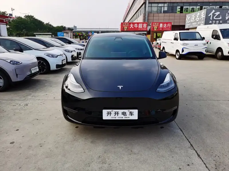 Tesla Model Y, 2021