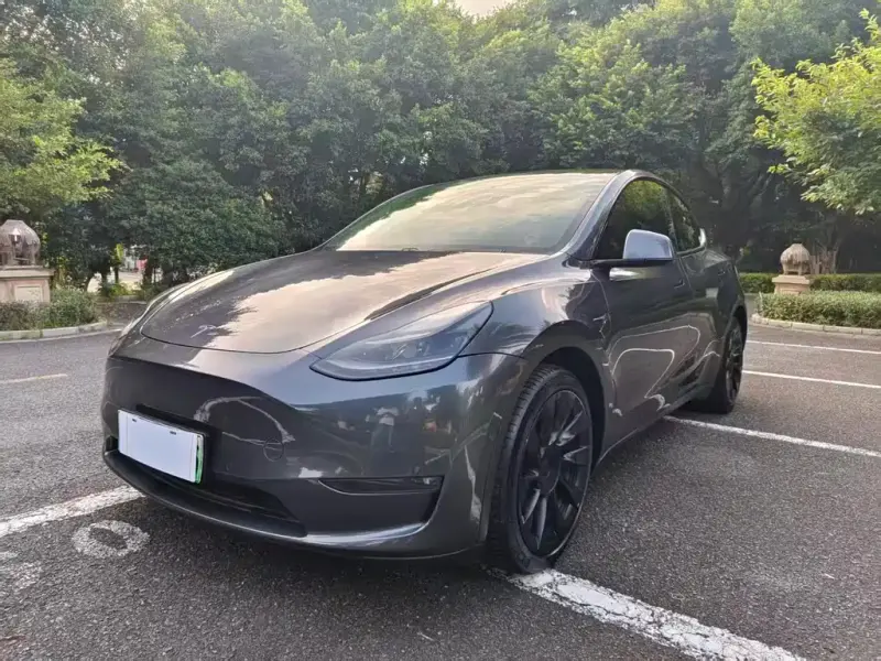 Tesla Model Y, 2021