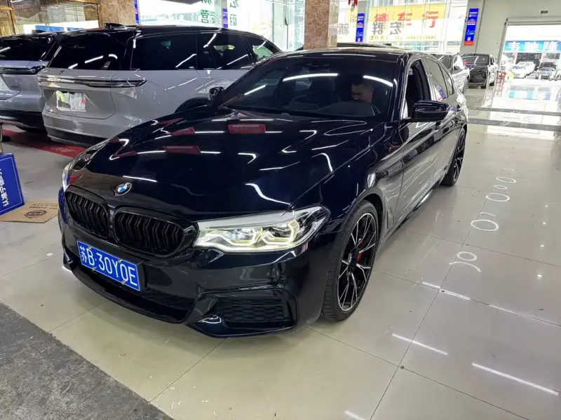 BMW 5 Series (Import), 2020