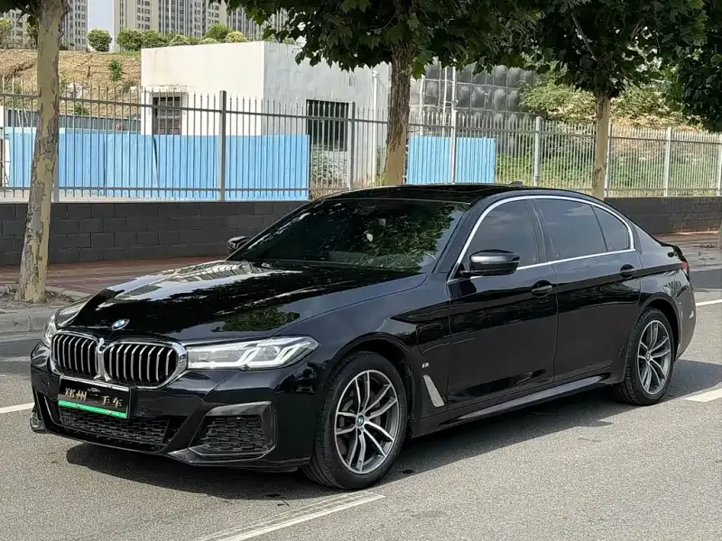 BMW 5 Series New Energy, 2022