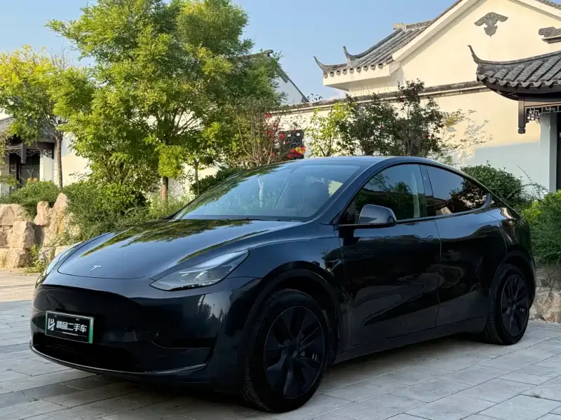 Tesla Model Y, 2024