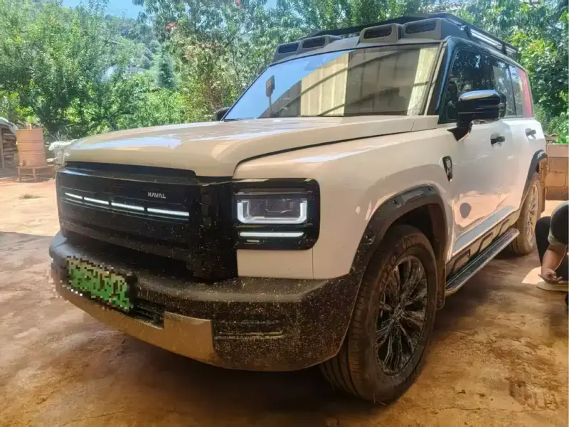 Haval Menglong New Energy, 2025