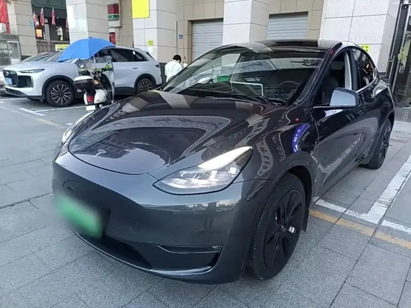 Tesla Model Y, 2021