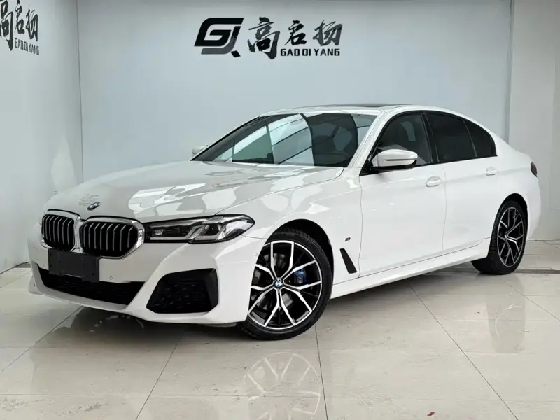BMW 5 Series (Import), 2021