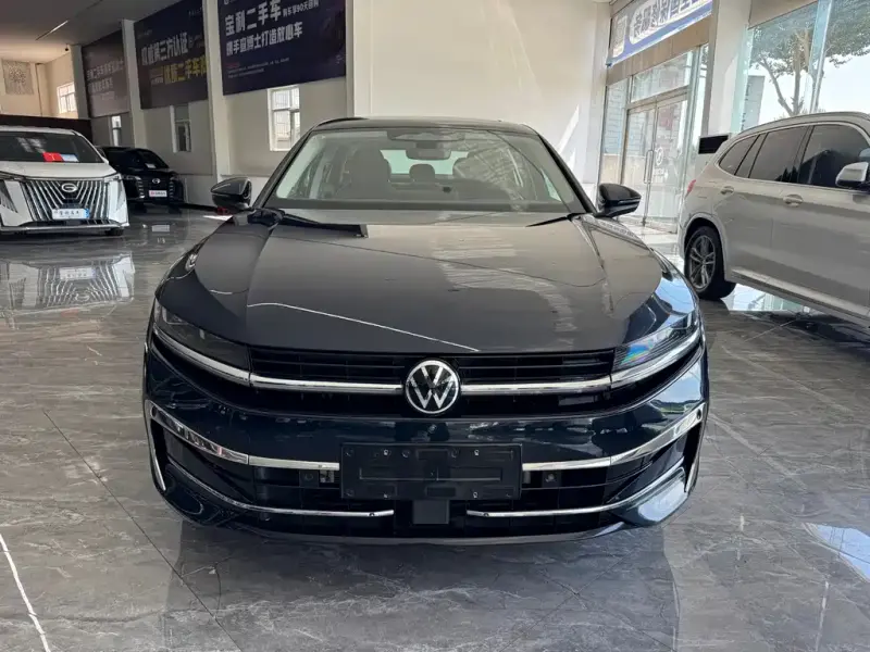 Volkswagen Magotan, 2024