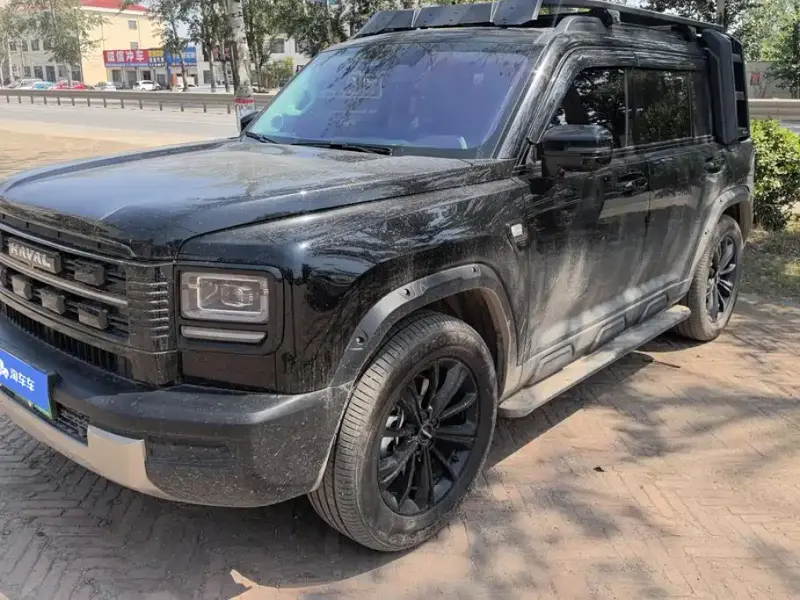 Haval Menglong New Energy, 2025