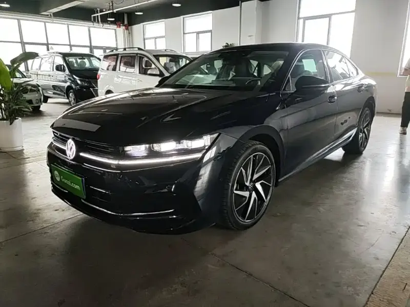 Volkswagen Magotan, 2024