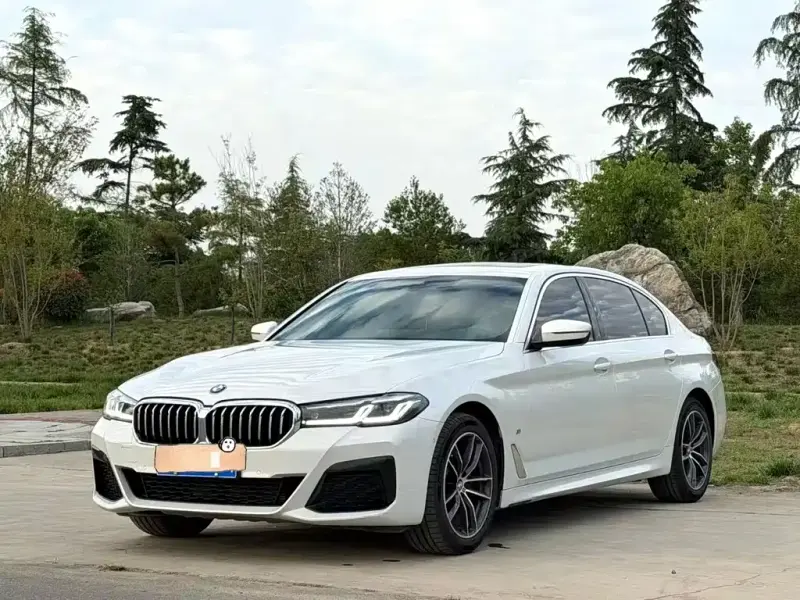 BMW 5 Series, 2021