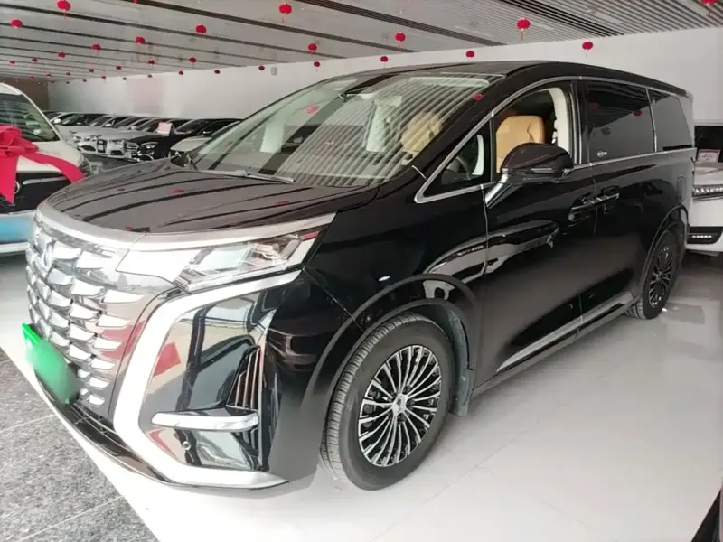 Denza D9, 2024