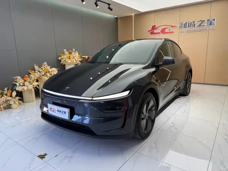 Tesla Model Y, 2025
