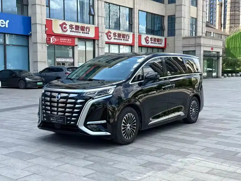 Denza D9, 2024