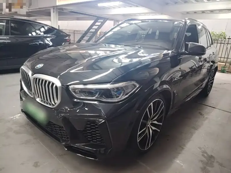 BMW X5 New Energy (Import), 2022