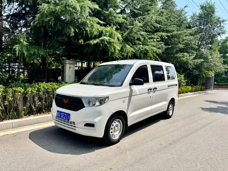 Wuling Hongguang V, 2019
