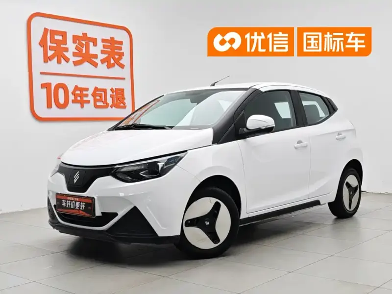 JMEV EV2, 2024