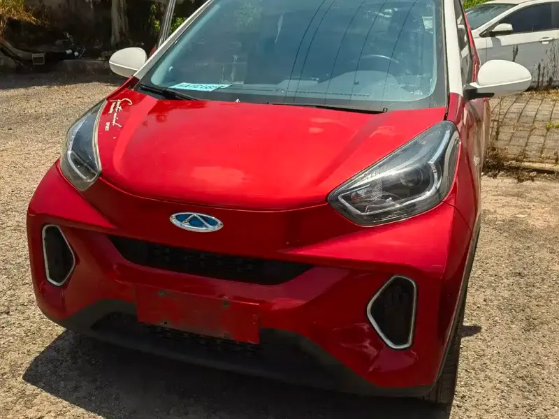 Chery Little Ant, 2021