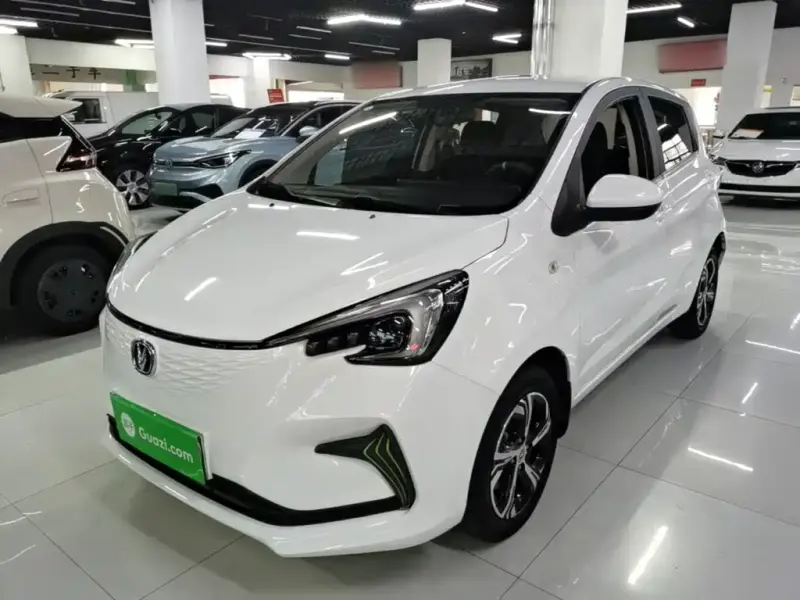 Changan Benben E-Star, 2020