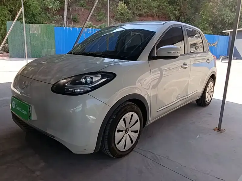 Wuling Bingo, 2023