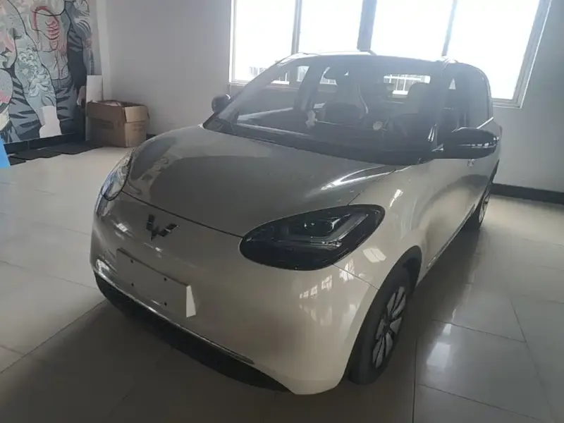 Wuling Bingo, 2023