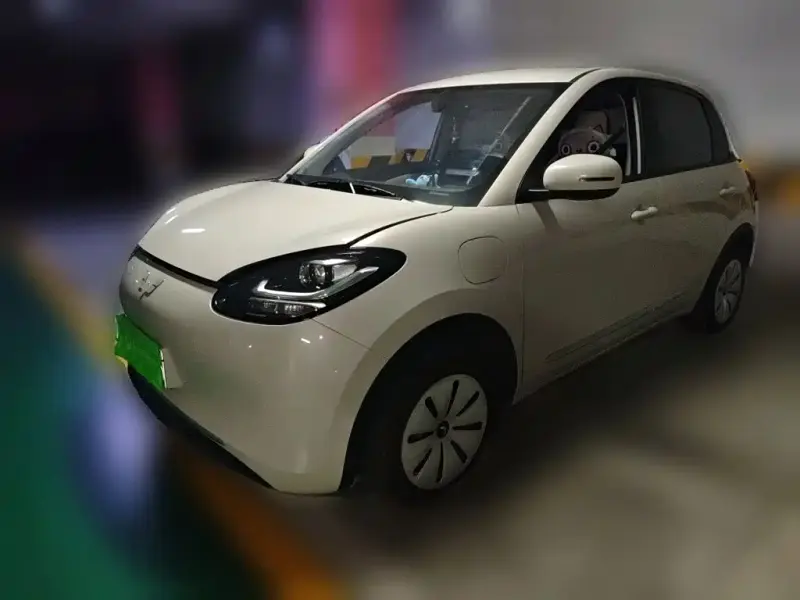 Wuling Bingo, 2024