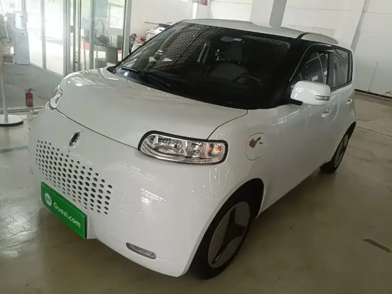 Ora White Cat, 2021