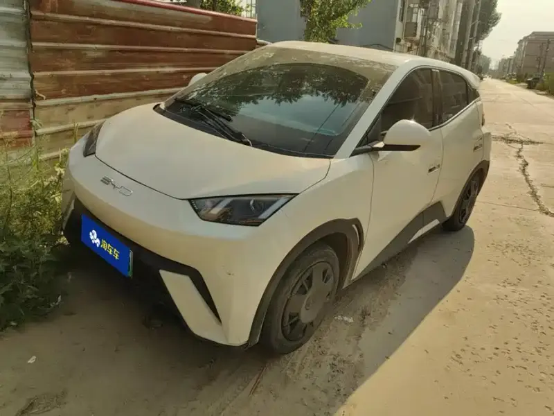 BYD Seagull, 2024