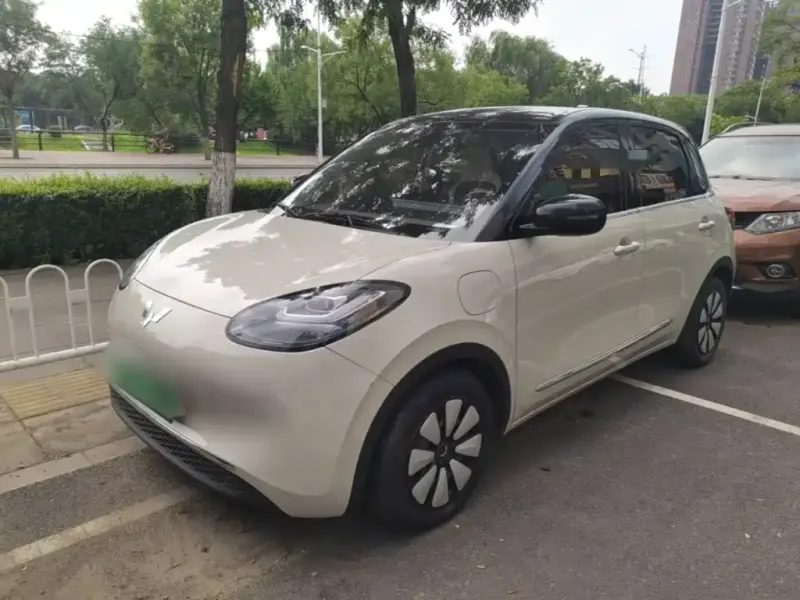 Wuling Bingo, 2023