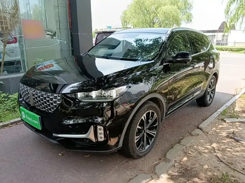 Wey VV6, 2020
