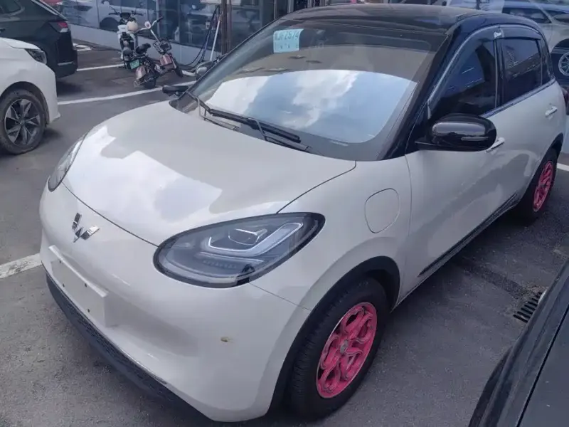 Wuling Bingo, 2024