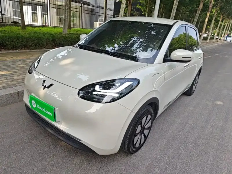 Wuling Bingo, 2024