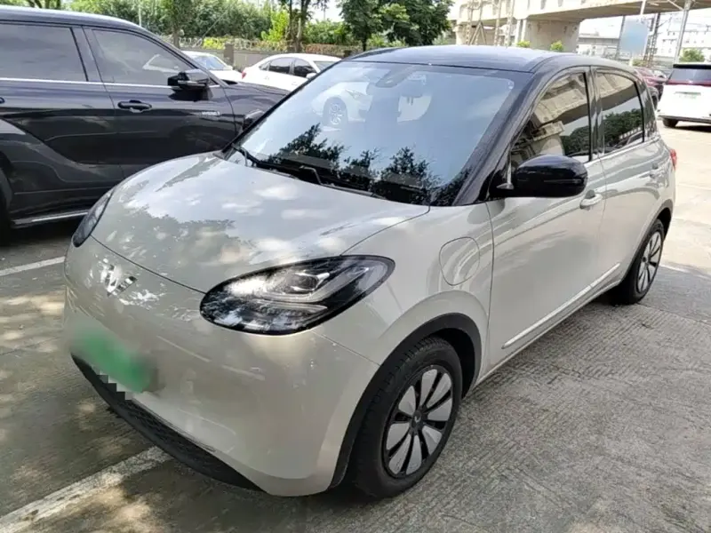 Wuling Bingo, 2023