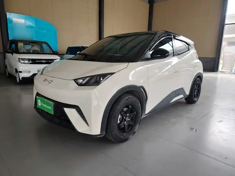 BYD Seagull, 2024