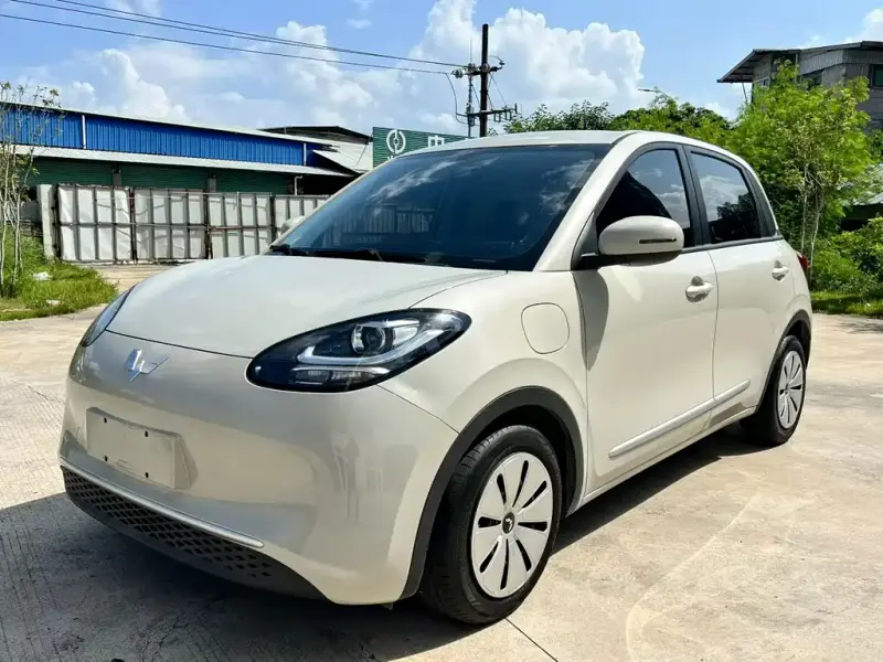 Wuling Bingo, 2023