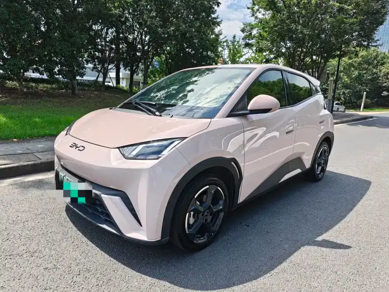 BYD Seagull, 2024