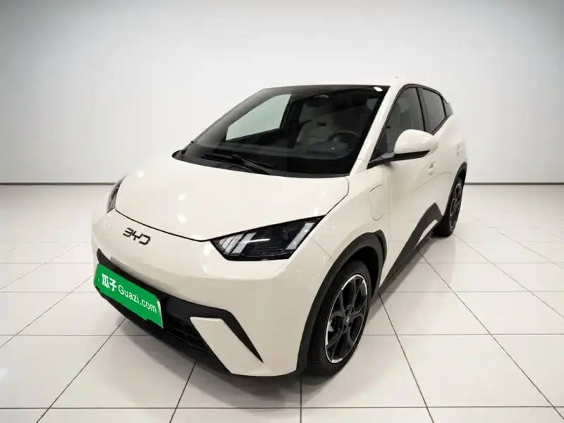BYD Seagull, 2024