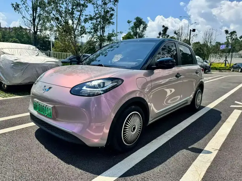 Wuling Bingo, 2023