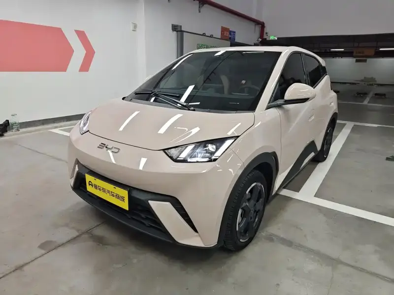 BYD Seagull, 2024