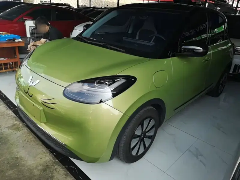 Wuling Bingo, 2023