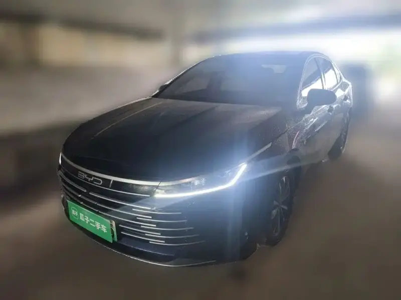 BYD Destroyer 05, 2024