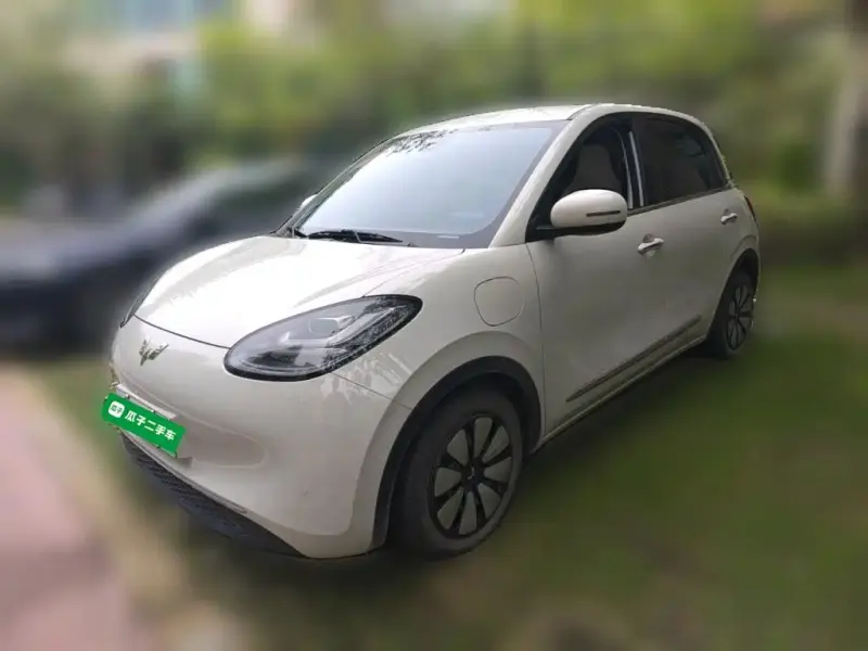 Wuling Bingo, 2024