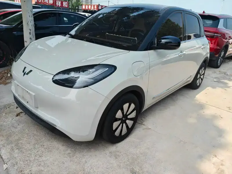 Wuling Bingo, 2023
