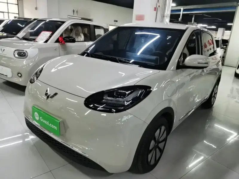 Wuling Bingo, 2024