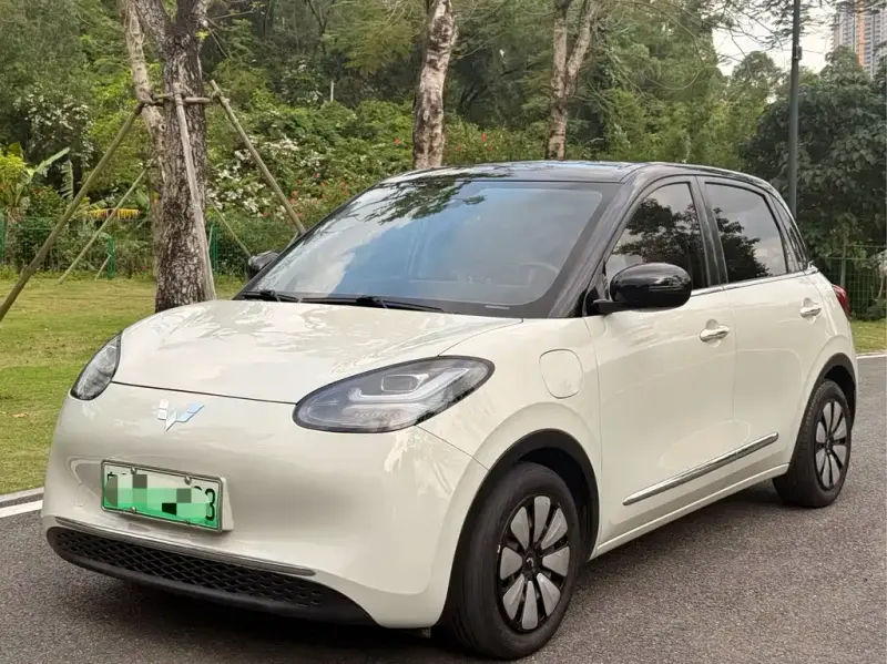 Wuling Bingo, 2023
